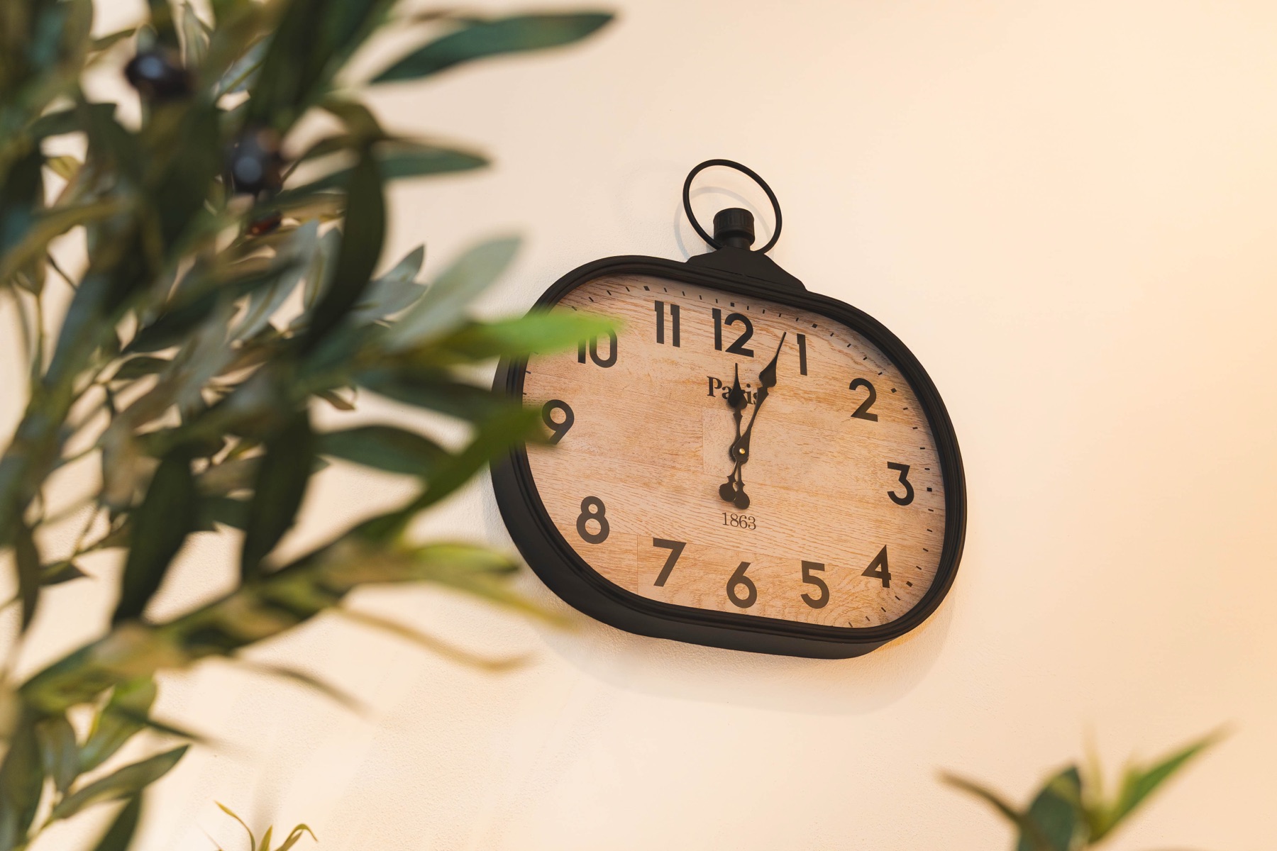 Orologio a muro e ramo d'ulivo